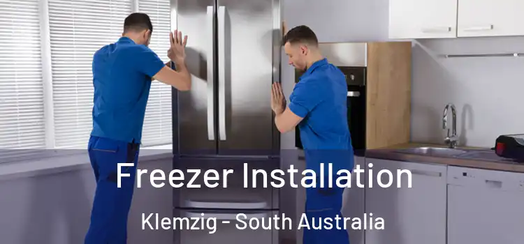 Freezer Installation Klemzig - South Australia