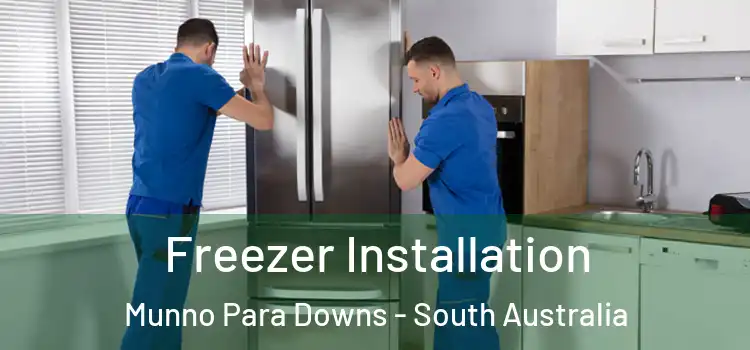 Freezer Installation Munno Para Downs - South Australia