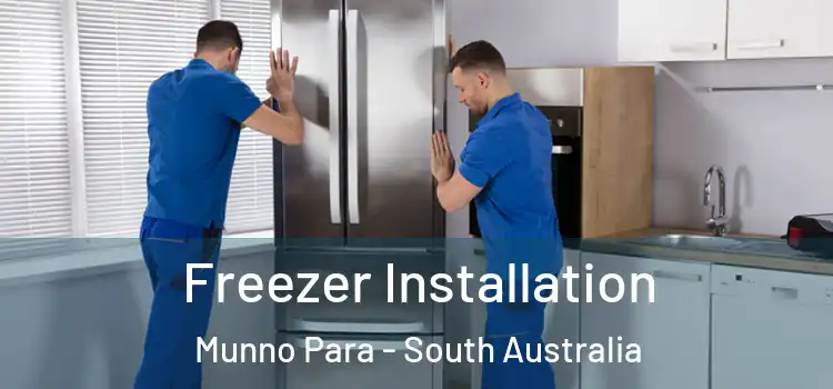 Freezer Installation Munno Para - South Australia
