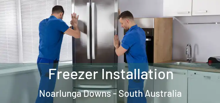 Freezer Installation Noarlunga Downs - South Australia