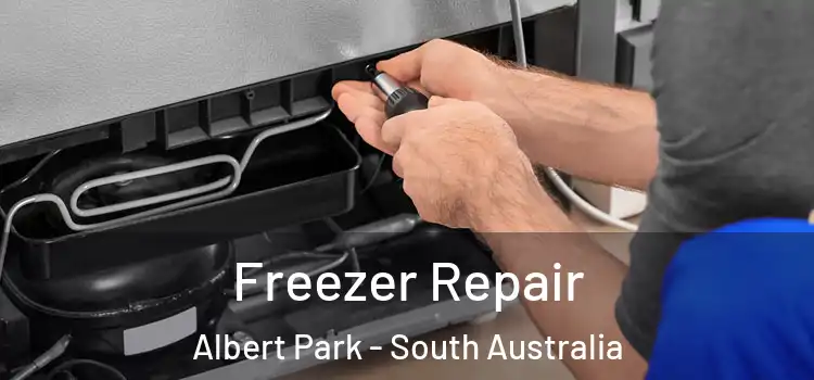 Freezer Repair Albert Park - South Australia