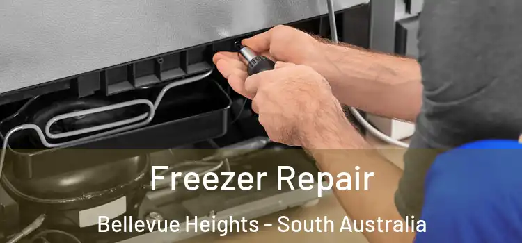 Freezer Repair Bellevue Heights - South Australia