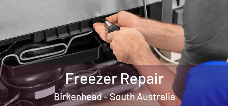Freezer Repair Birkenhead - South Australia