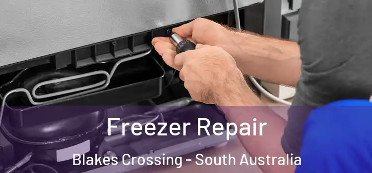 Freezer Repair Blakes Crossing - South Australia