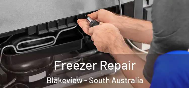 Freezer Repair Blakeview - South Australia
