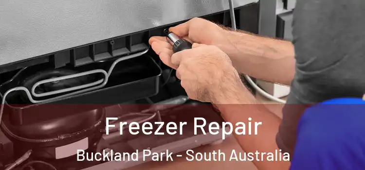 Freezer Repair Buckland Park - South Australia