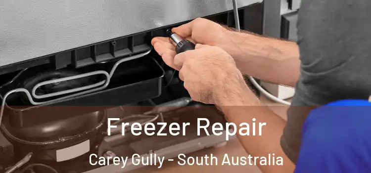 Freezer Repair Carey Gully - South Australia