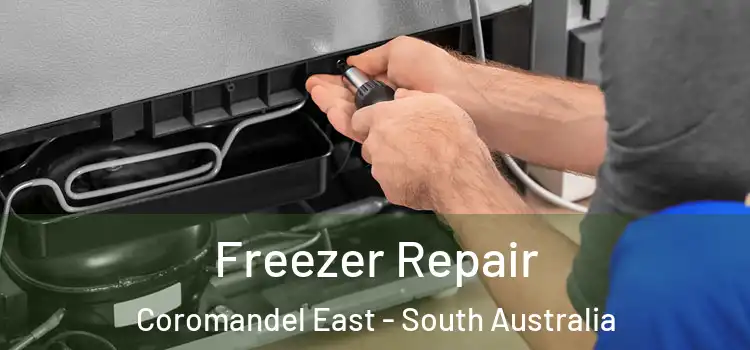 Freezer Repair Coromandel East - South Australia