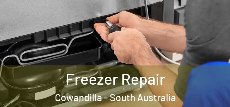 Freezer Repair Cowandilla - South Australia