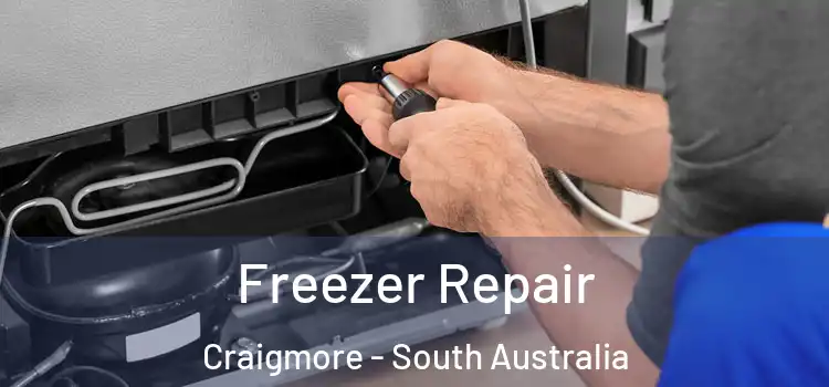 Freezer Repair Craigmore - South Australia