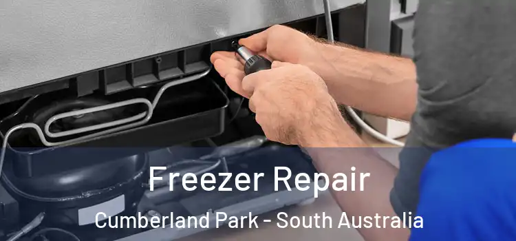 Freezer Repair Cumberland Park - South Australia