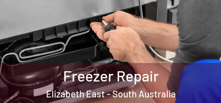 Freezer Repair Elizabeth East - South Australia