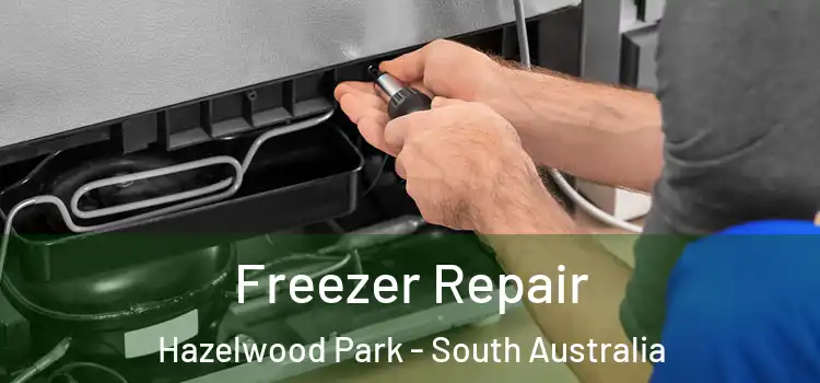 Freezer Repair Hazelwood Park - South Australia
