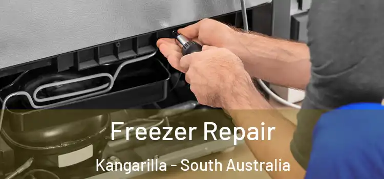 Freezer Repair Kangarilla - South Australia