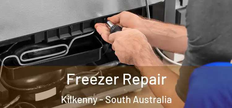 Freezer Repair Kilkenny - South Australia