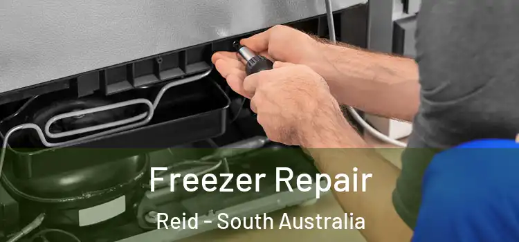 Freezer Repair Reid - South Australia