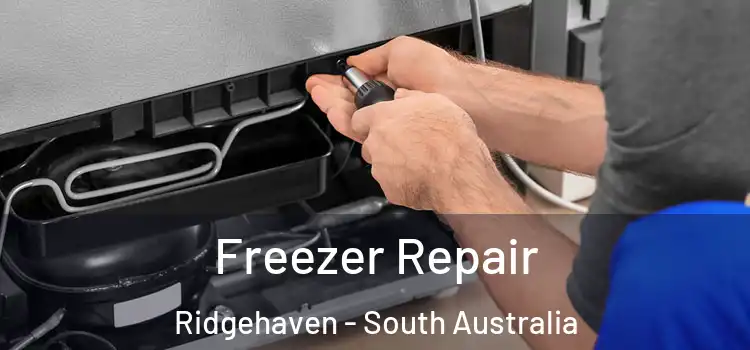 Freezer Repair Ridgehaven - South Australia