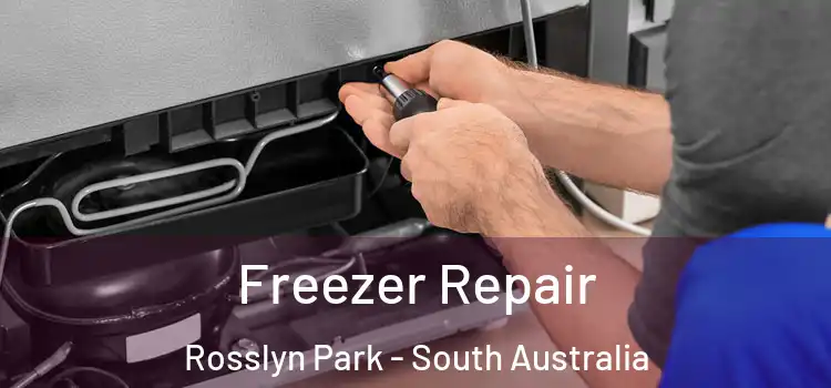 Freezer Repair Rosslyn Park - South Australia