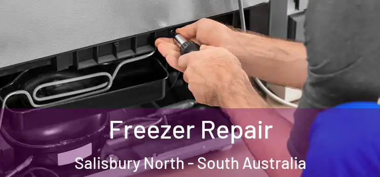 Freezer Repair Salisbury North - South Australia