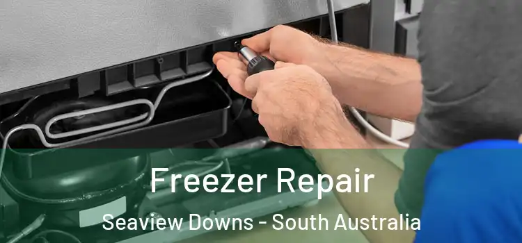 Freezer Repair Seaview Downs - South Australia