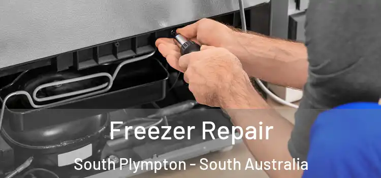 Freezer Repair South Plympton - South Australia