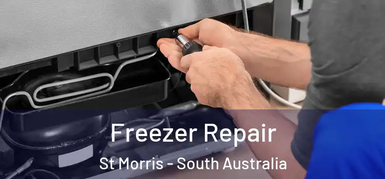 Freezer Repair St Morris - South Australia