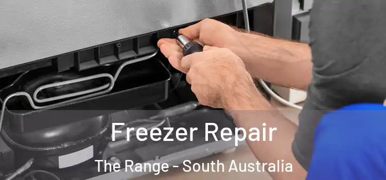 Freezer Repair The Range - South Australia