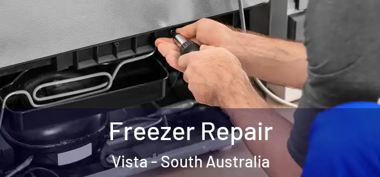 Freezer Repair Vista - South Australia