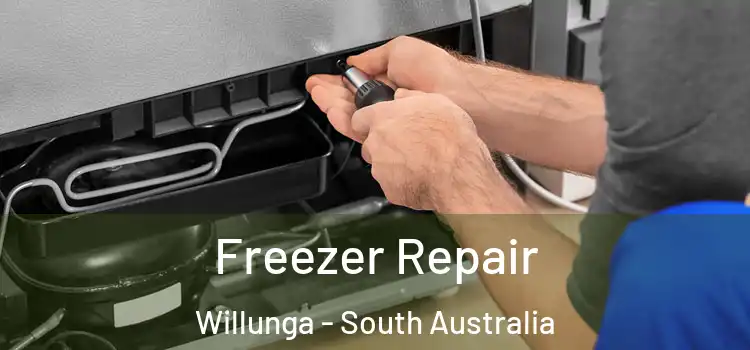 Freezer Repair Willunga - South Australia