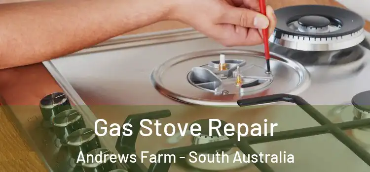 Gas Stove Repair Andrews Farm - South Australia