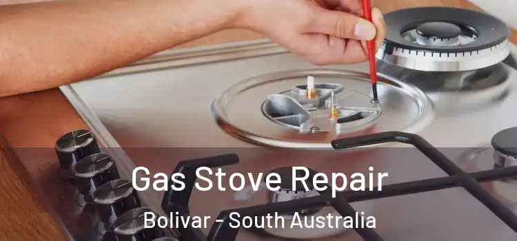 Gas Stove Repair Bolivar - South Australia