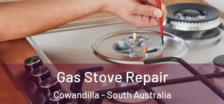 Gas Stove Repair Cowandilla - South Australia