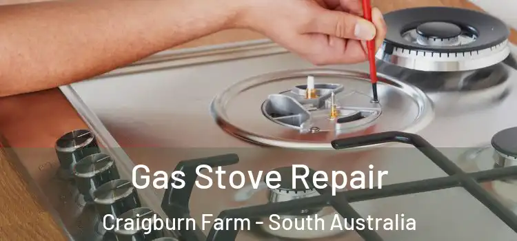 Gas Stove Repair Craigburn Farm - South Australia
