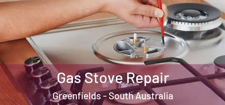 Gas Stove Repair Greenfields - South Australia