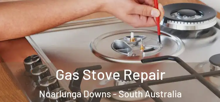 Gas Stove Repair Noarlunga Downs - South Australia