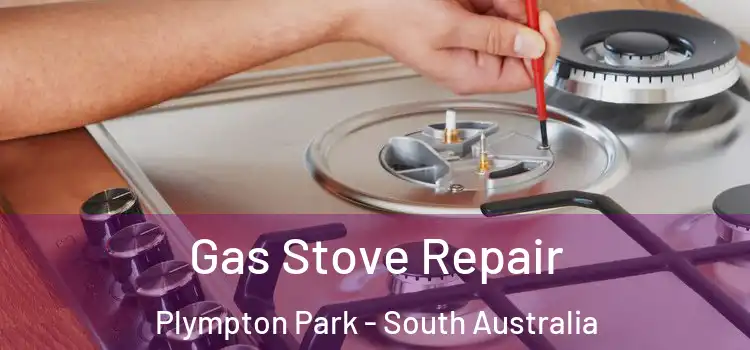 Gas Stove Repair Plympton Park - South Australia