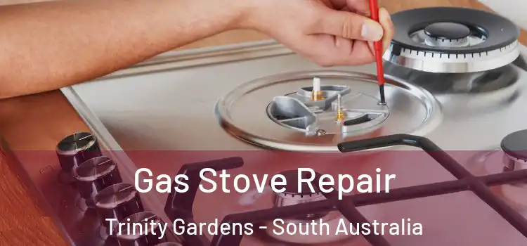 Gas Stove Repair Trinity Gardens - South Australia