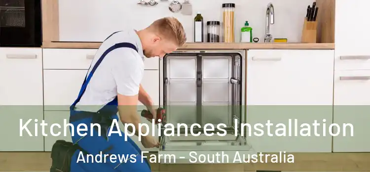 Kitchen Appliances Installation Andrews Farm - South Australia