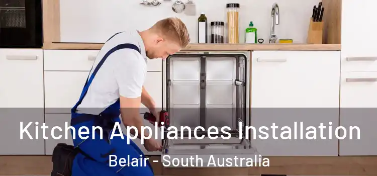 Kitchen Appliances Installation Belair - South Australia