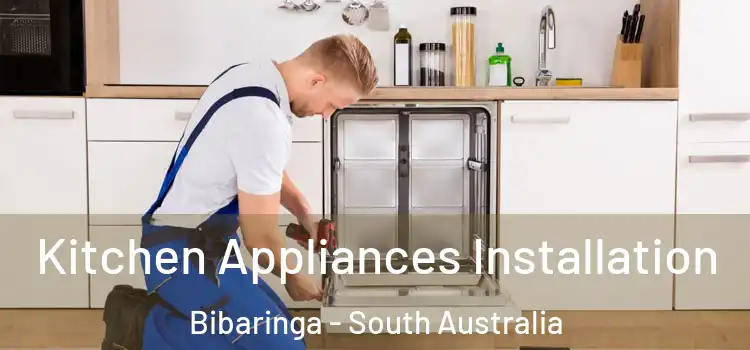Kitchen Appliances Installation Bibaringa - South Australia