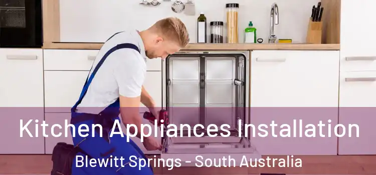 Kitchen Appliances Installation Blewitt Springs - South Australia