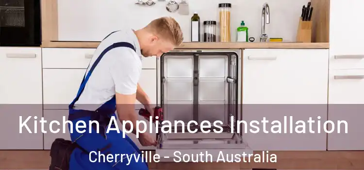 Kitchen Appliances Installation Cherryville - South Australia