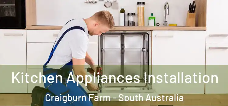 Kitchen Appliances Installation Craigburn Farm - South Australia