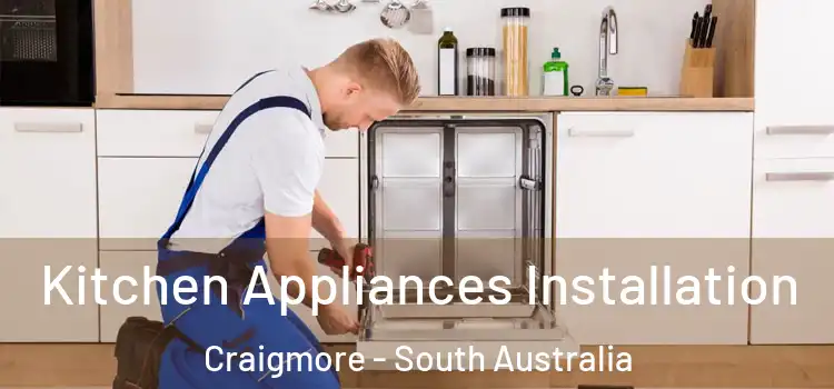 Kitchen Appliances Installation Craigmore - South Australia