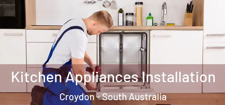 Kitchen Appliances Installation Croydon - South Australia