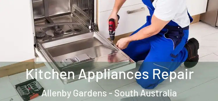 Kitchen Appliances Repair Allenby Gardens - South Australia