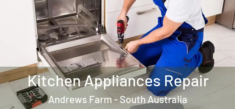 Kitchen Appliances Repair Andrews Farm - South Australia