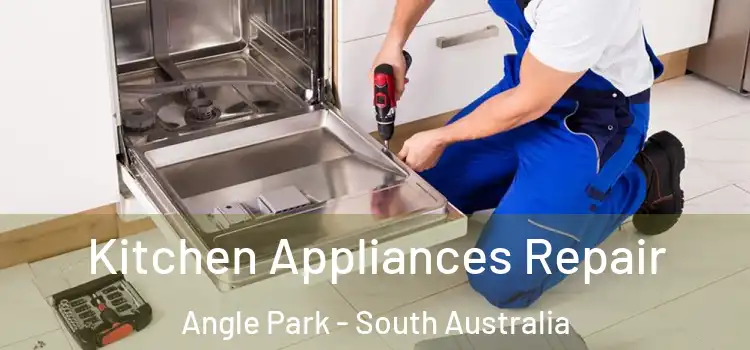 Kitchen Appliances Repair Angle Park - South Australia