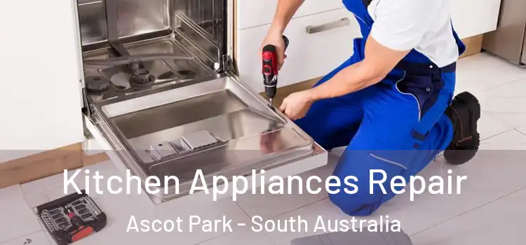 Kitchen Appliances Repair Ascot Park - South Australia