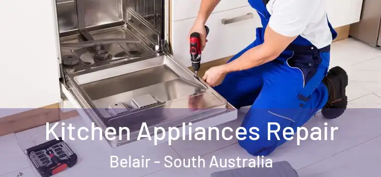 Kitchen Appliances Repair Belair - South Australia